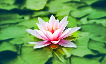 来年こそイライラママを卒業したい人へ
〜タダでいつでも出来る、お手軽めい想で自分を癒そう！〜