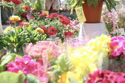 お花は誰にでも喜ばれる万能の贈り物。でも、片づかなくなる⁉︎